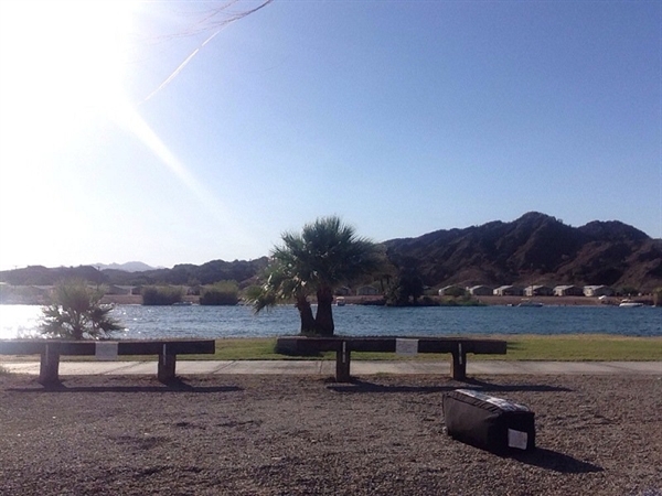 La Paz County Park, Parker, AZ - GPS, Campsites, Rates, Photos, Reviews